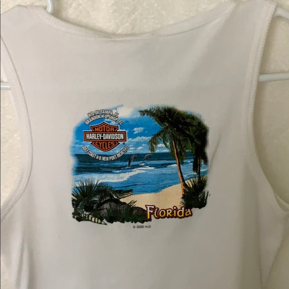 Harley-Davidson Tank - Picture 2 of 4